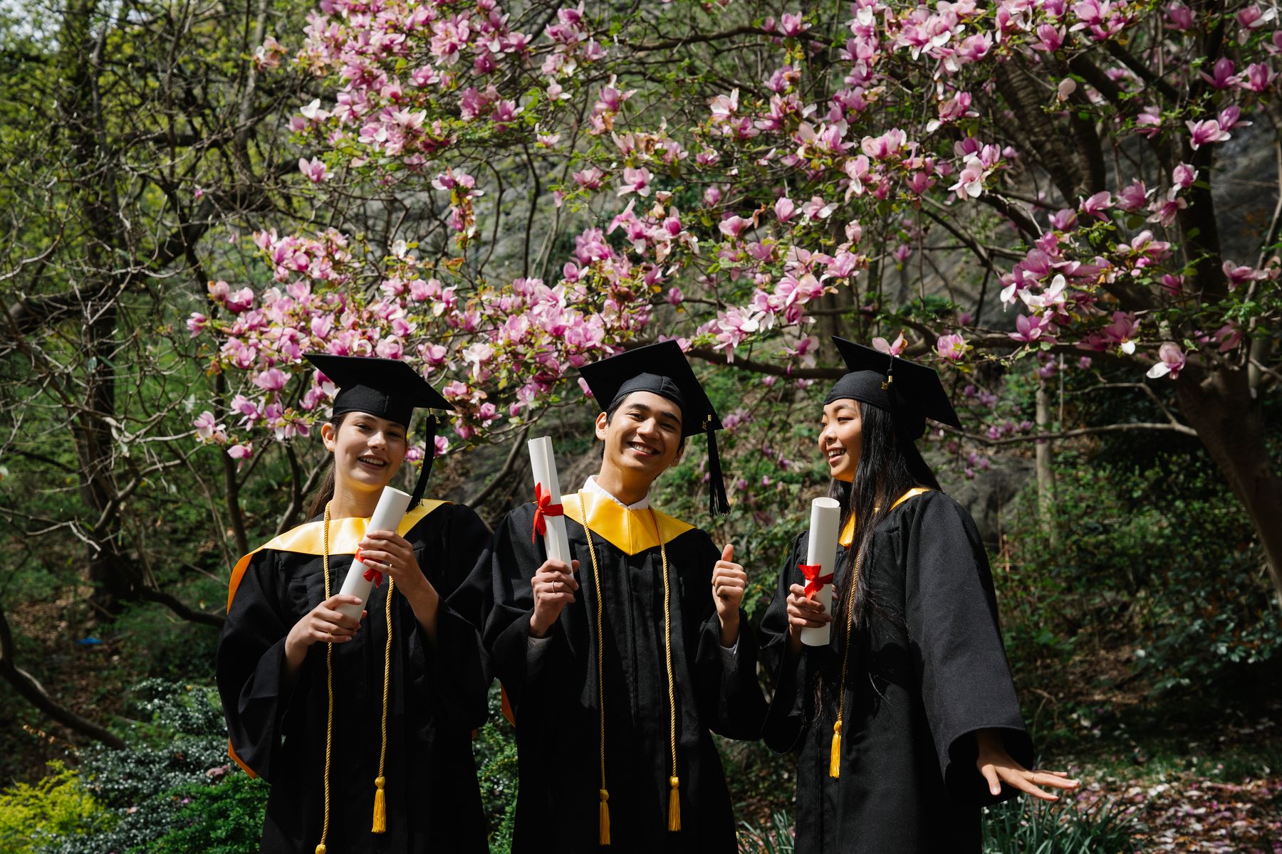 Campus placement drive and applicant management discussion